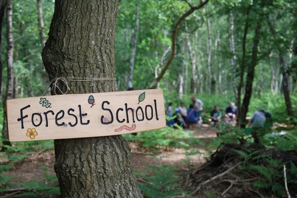 forest_school_2_roydon_wood_fair_2013_by_nat_light_17-1